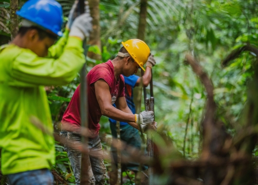 Bild von THE GENERATION FOREST, Zwei Männer mit Schutzhelmen in einem Dschungel, die Löcher für Bäume ausheben.