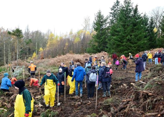 #Gefördert: OMNIBUS für Direkte Demokratie