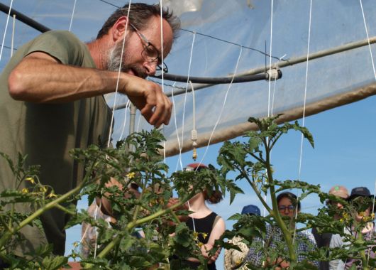 #Gefördert: Bio Italia – bella Italia?