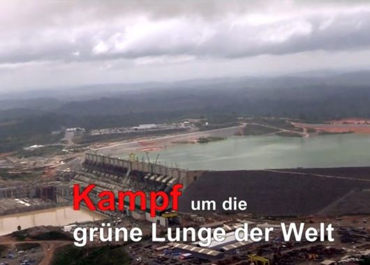 #Gefördert: Kampf um die grüne Lunge der Erde