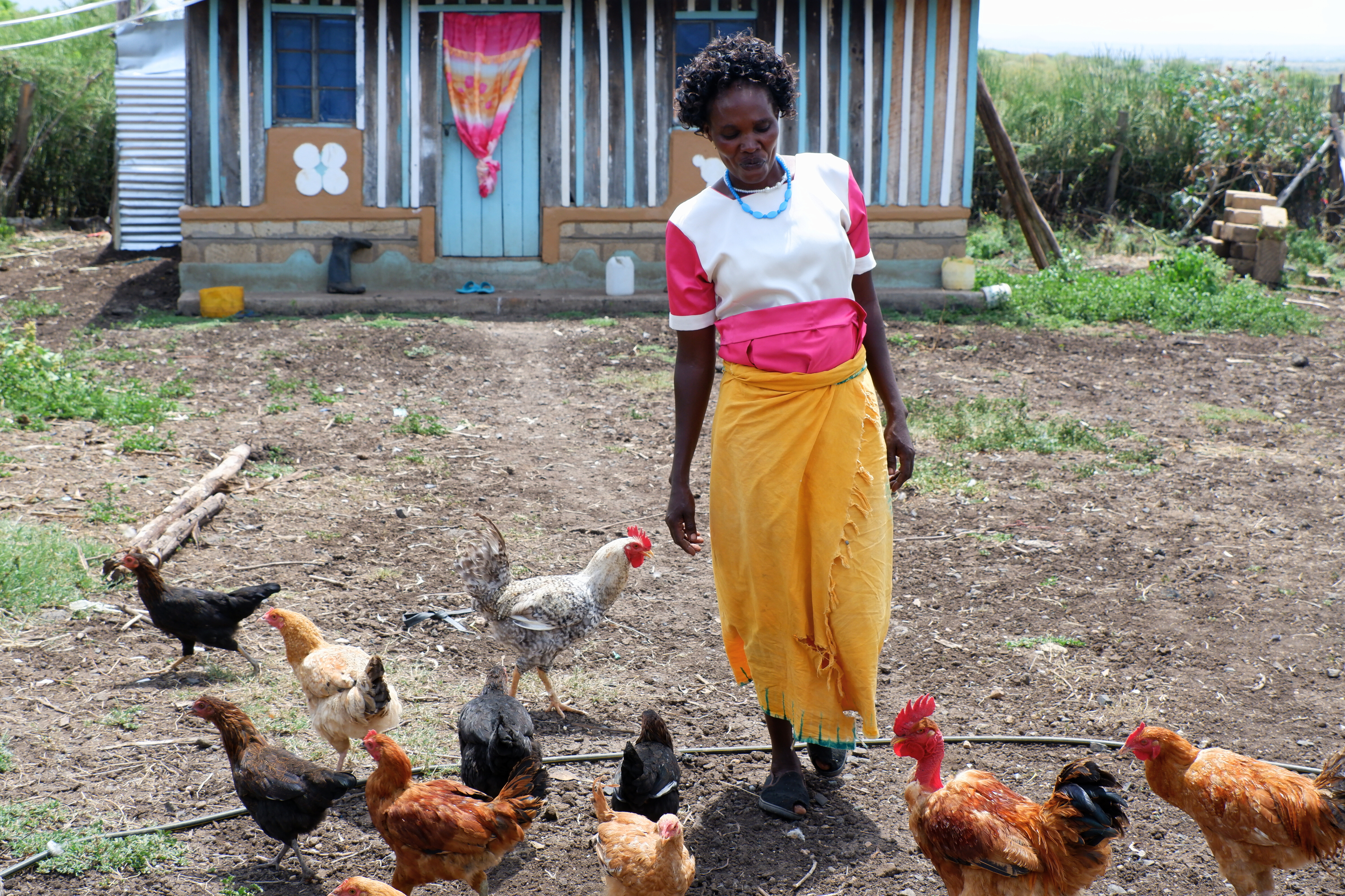 Kenia: Dürre und Nahrungsmittelknappheit