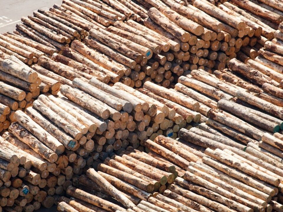 #Gefördert: Da ist der Wurm drin