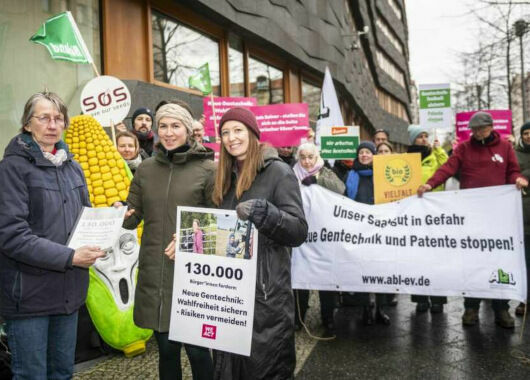 Brandbrief gegen Gentechnik-Deregulierung: Biobranche und Lebensmittelhändler fordern Umdenken im EU-Parlament