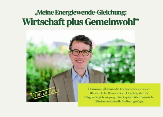 25 Jahre naturstrom: Energiewende aus der Graswurzel (Interview)